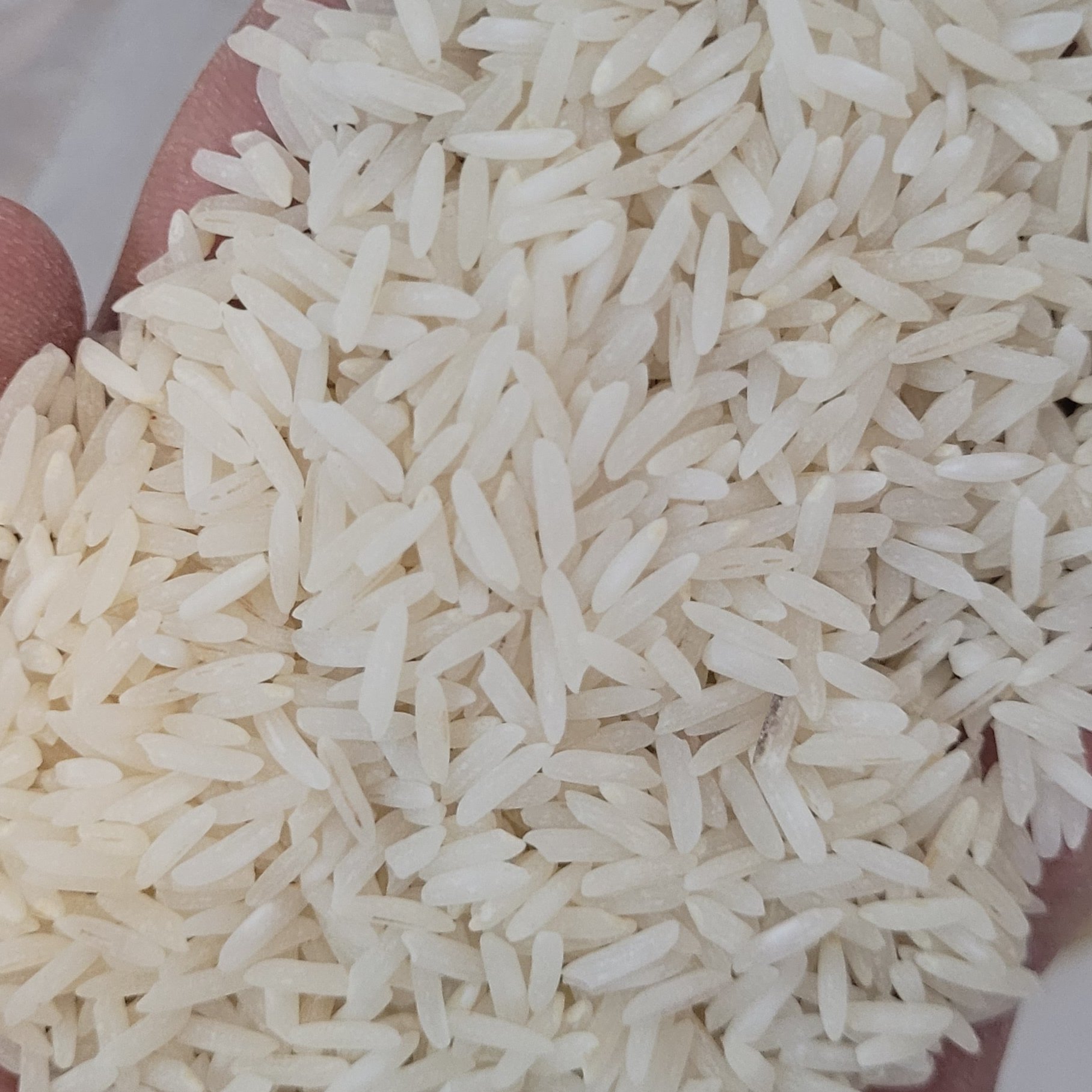 برنج ندا شمال درجه خالص کیسه ده کیلویی