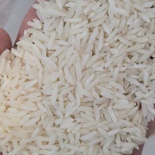 برنج ندا شمال درجه خالص کیسه ده کیلویی